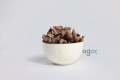 Dried Naaga Poov dried (Cannonball Tree Flower) - Exotic Botanical for Crafts & Aromatics | OGOC