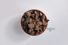 Dried Naaga Poov dried (Cannonball Tree Flower) - Exotic Botanical for Crafts & Aromatics | OGOC
