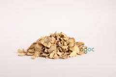 White Turmeric Slices - A Unique and Flavorful Addition to Your Kitchen | OGOC