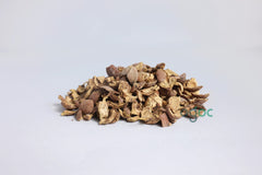 Thanikka Thode (Baheda) - Bellirica, Herb for Wellness & Natural Remedies | OGOC