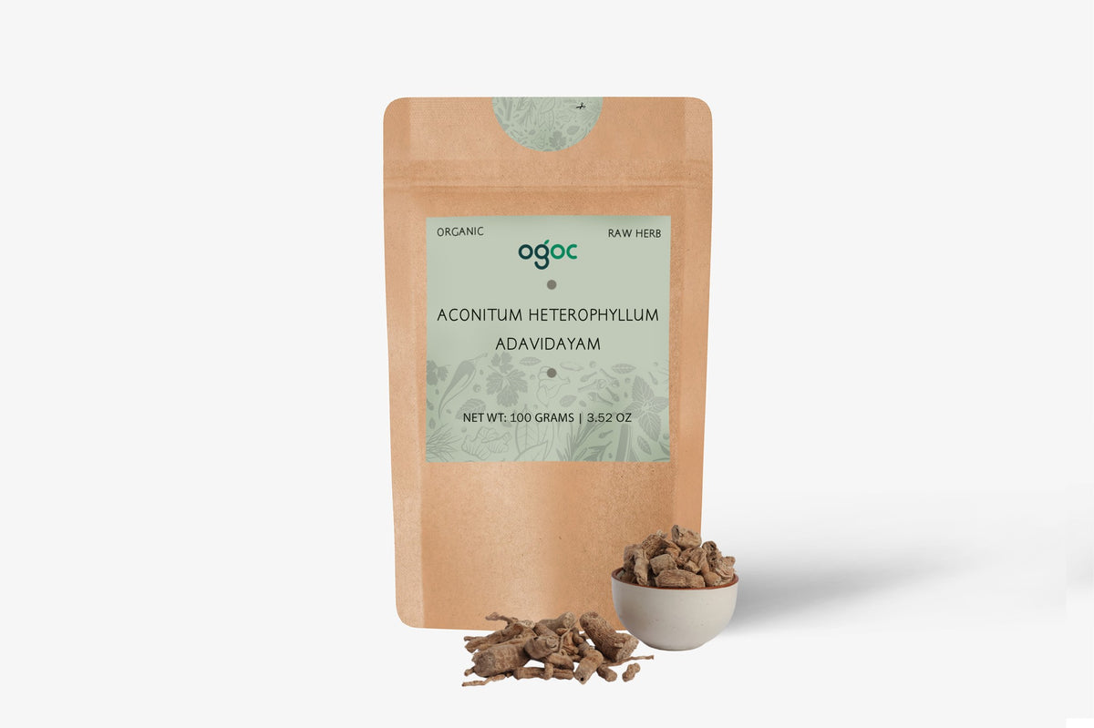 Aconitum Heterophyllum Dried Roots (Atish/Ativisha) Rare Ayurvedic Medicinal Herb | OGOC