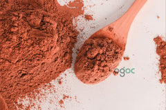 Organic Arjuna Powder (Terminalia Arjuna) – Sun-Dried Natural Herbal Powder | OGOC