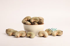 Cashew Nut Seeds (Anacardium occidentale) Kaju Kaju Beej Cashew Kernels Raw Nuts Natural Ingredient Premium Quality Whole Seeds Snacking Cooking Baking | OGOC