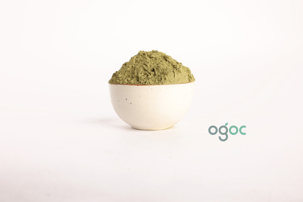 Chirata Powder Swertia Chirata Kirayat Chirayata Herbal Powder Raw Herb Natural Ingredient Premium Quality Ayurvedic Use Herbal Tea Wellness | OGOC