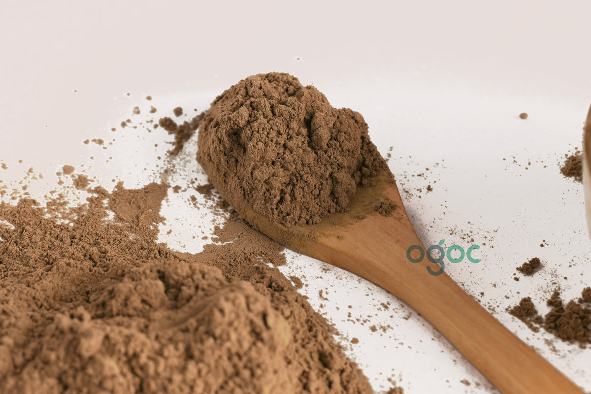 Changalamparanda Hadjod Powder Ayurvedic Bone Health Herb (Cissus Quadrangularis) | OGOC