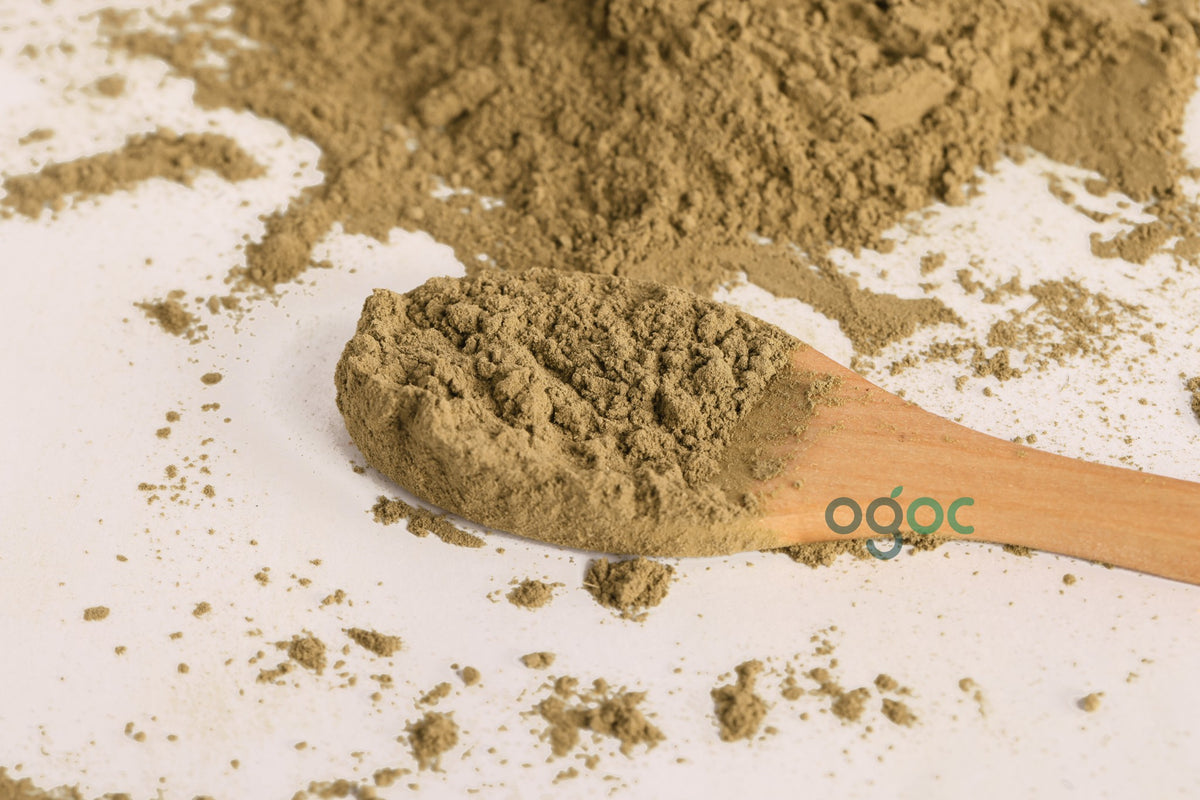 Organic Curry Leaves Powder (Karuveppilai / Kadi Patta / Karibevu) for Hair Care & Cooking – Helps Reduce Hair Loss | OGOC
