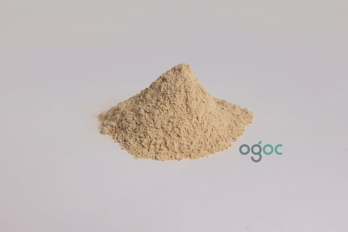 Giloy Powder Amruth Guduchi Tinospora cordifolia Herbal Powder Natural Ingredient Raw Herb Premium Quality Immunity Support Ayurvedic Drink Wellness | OGOC