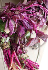 Spinach seeds - Red Spinach Seeds | Green Spinach - Amaranthus Leaf, Lal Saag, Cheera Seed, Organic Vegetable Seeds | GodsowncountryIN| OGOC