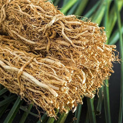 Natural Vetiver Roots - Pure Khus Khus, Ramacham, Vetiveria Zizanioides - Dried Herbal Kuruveeru, Vettivilu, Vetiveerum| OGOC