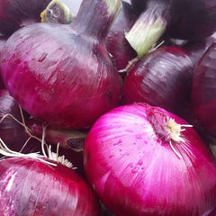 Purple Bulb Onion Seeds for Kitchen Gardens: Red Onion Variety - Ideal for Planting and Growing| OGOC