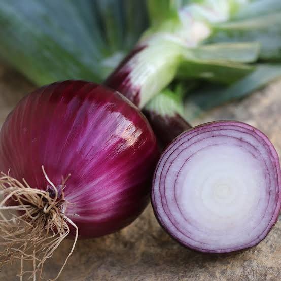 Purple Bulb Onion Seeds for Kitchen Gardens: Red Onion Variety - Ideal for Planting and Growing| OGOC