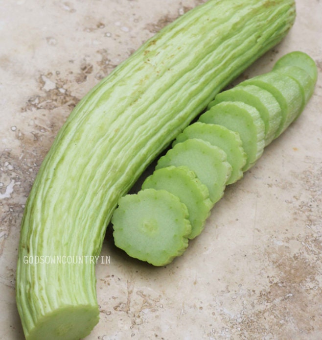 Long melon Cucumber seeds - Armenian cucumber, kakri seeds, Snake Cucumber, Gavthi Kakri, vegetable seeds| OGOC