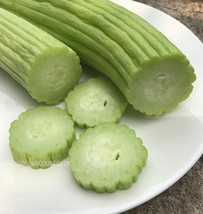 Long melon Cucumber seeds - Armenian cucumber, kakri seeds, Snake Cucumber, Gavthi Kakri, vegetable seeds| OGOC