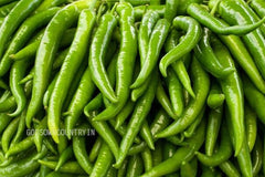 Green chilly seeds - Saattur, samba chilli, Chilli Seeds, Vegetable Seeds, Organic Seeds, Ex Rare seeds| OGOC