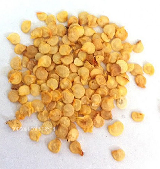 Premium Kashmiri Chili Pepper Seeds - Heirloom Indian Paprika, Authentic Kerala Natural Spice for Sale| OGOC