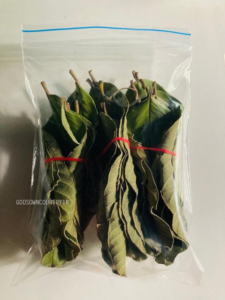 Dried Guava Leaves - Organic Omura, Handpicked Fresh Guava Leaves for Tea, Organic Leaves Direct From the Tree, Tea Leaves| OGOC