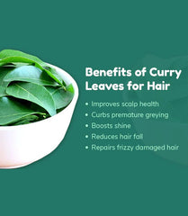 Organic Curry Leaves Powder - Karuveppilai Powder, Kadi Patta Powder, Karibevu Powder for Hair & Eating, Prevent Hair Loss| OGOC