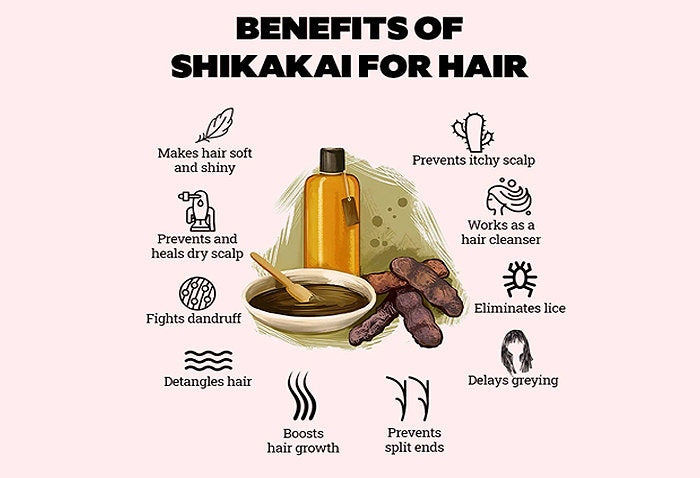 Natural Shikakai Powder, CHEENIKKA : Soap Nut Hair Herbal Conditioner, Ayurvedic Softening Treatment for Luxurious, Silky, and Shiny Hair