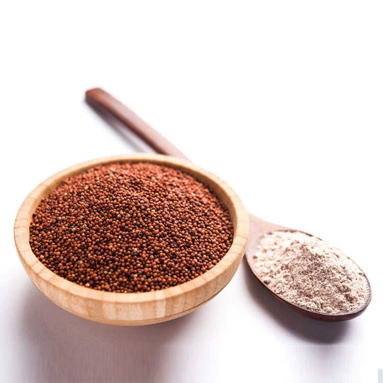 Organic Ragi Powder - Finger Millet, Eleusine Coracana, Ragi Flour, Health Care| OGOC