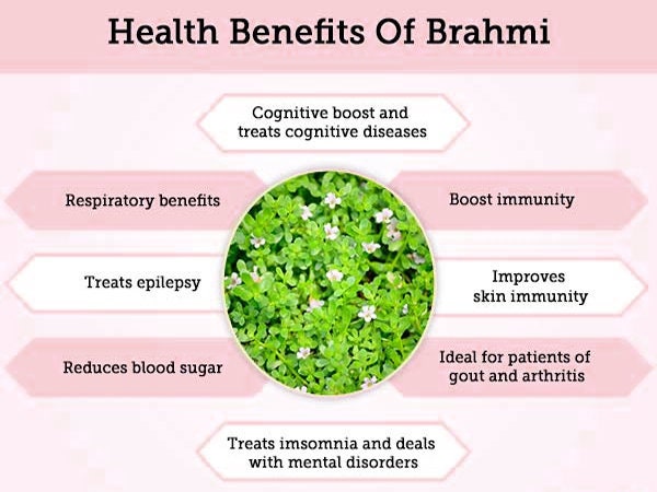 Holy Natural Organic Brahmi Powder - Bacopa Monniera, For Strength & Shine Hair, Brain Tonic, Memory Enhancer, Good for Overall Health| OGOC