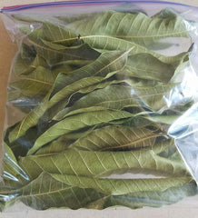 Organic Mango Leaf : Dried Leaves for Immunity, Pure & Natural Brew from Mango Tree, Boost Health Naturally with Shadow Dried Leaves| OGOC