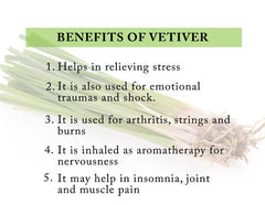 Natural Vetiver Roots - Pure Khus Khus, Ramacham, Vetiveria Zizanioides - Dried Herbal Kuruveeru, Vettivilu, Vetiveerum| OGOC