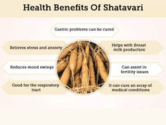 Organic Satavari Powder - Asparagus Racemosus Powder, Support Reproductive System, Digestive System, One Hundred Roots, Maternal Health