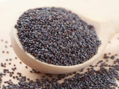 Poppy Seeds - Black Kaskas, Indian Poppy Seeds, Khus Khus, Gasagasalu, Kasa Kasa, Kas Kas, Gasegase, Posto, Khush Khush| OGOC