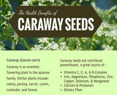 Premium Caraway Seeds: Whole Jeera, Shahi Jeera, Meridian Fennel, Persian Cumin, Shahjeera, Shah Jeera, Health Benefits, Nutritional Value