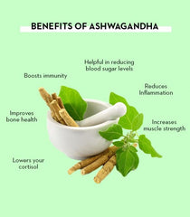 Aswagandha Churnam (100g)  Ashwagandha Root Powder, Ayurvedic Medicine, Ginseng, Immune Booster, Withania Somnifera, Kottakkal Ayurveda Sala