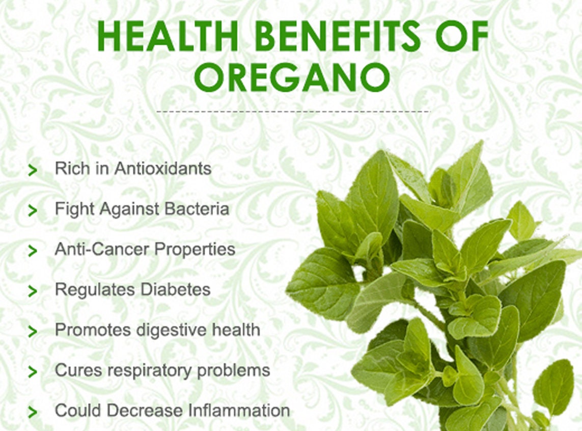 Oregano - Herb, Mediterranean cuisine, Italian cuisine, Greek cuisine, Mexican cuisine, Perfect for Tacos, Soups, and More| OGOC