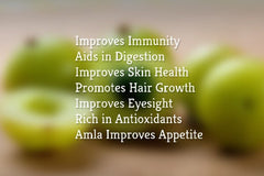 Premium Dried Amla: Gooseberry, Whole Fruit for Skin, Hair Care, Immunity Boost, Metabolism, Health & Beauty| OGOC