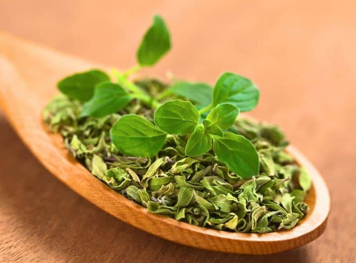 Oregano - Herb, Mediterranean cuisine, Italian cuisine, Greek cuisine, Mexican cuisine, Perfect for Tacos, Soups, and More| OGOC