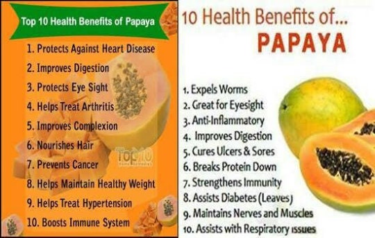 Organic Papaya Seeds for Growing Papaya Trees| OGOC