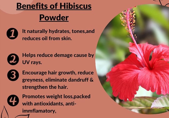 Organic Hibiscus Powder: Vibrant Herbal Ingredient, For Hair Growth| OGOC