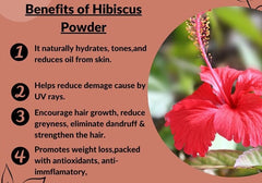 Organic Hibiscus Powder: Vibrant Herbal Ingredient, For Hair Growth| OGOC