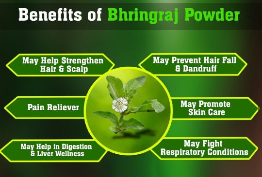 Organic Bhringraj Powder - Ayurvedic Hair Care | Herbal Treatment for Hair Growth, Scalp Health, Hair Care| OGOC