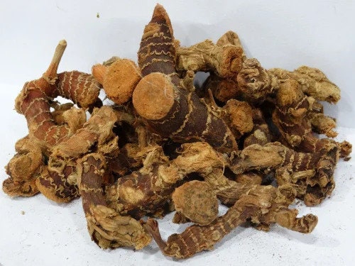 CHITTARATTA \ Alpinia Galanga \ Siamese ginger Lesser Galangal Roots - Kulanjan/Chitharathai |  Use Authentic and Natural RAW herb.| OGOC