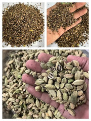 Cardamom Seeds Collection - Capalaga, Ilachi, Green, True, Ceylon | Organic Spice Seeds 100Grams.| OGOC