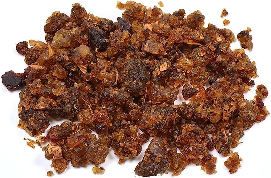 Indian Bdellium-Tree (Gugal/Guggul/Gugul) - Mukul Myrrh Tree | Medicinal Resin, Herbal Use Only| OGOC