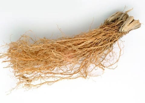 Natural Vetiver Roots - Pure Khus Khus, Ramacham, Vetiveria Zizanioides - Dried Herbal Kuruveeru, Vettivilu, Vetiveerum| OGOC