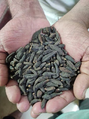 Terminalia Chebula powder (Myrobalan) | Harra, Harad, Kadukai Thodu powder | Traditional Herbal Use| OGOC