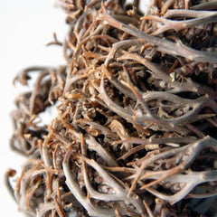 Rose of Jericho | Mariyam flower | Jericho Rose Resurrection Flower Jericho | Chajarat Mariyam Organic RAW Anastatic,Pregnancy.