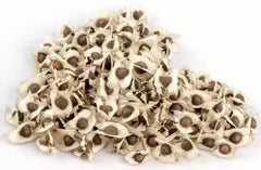 Muriga Seeds (100grams)- Traditional Ayurvedic Seeds for Wellness & Holistic Health"| OGOC