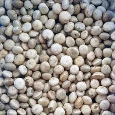 Thetambaral (Clearing Nut) - NIRMALI Organic Natural Seed for Crafts & Wellness"| OGOC