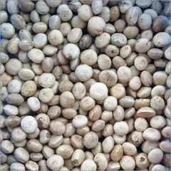 Thetambaral (Clearing Nut) - NIRMALI Organic Natural Seed for Crafts & Wellness"| OGOC