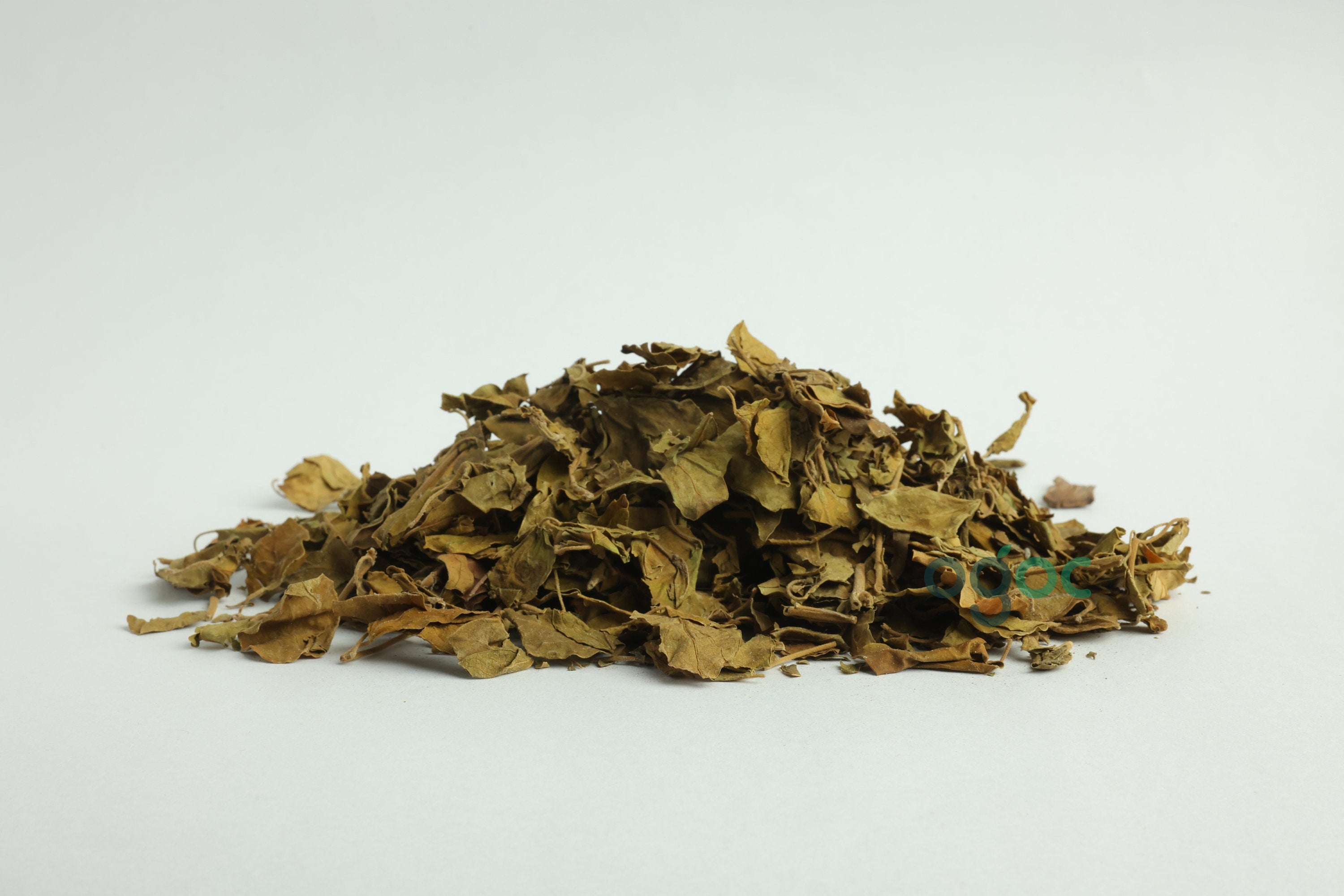 Chakkarakolli - Gymnema sylvestre Dried leaves | Medicinal Herb for Herbal Use ,gurmar sugar destroyer, madhunashini.| OGOC