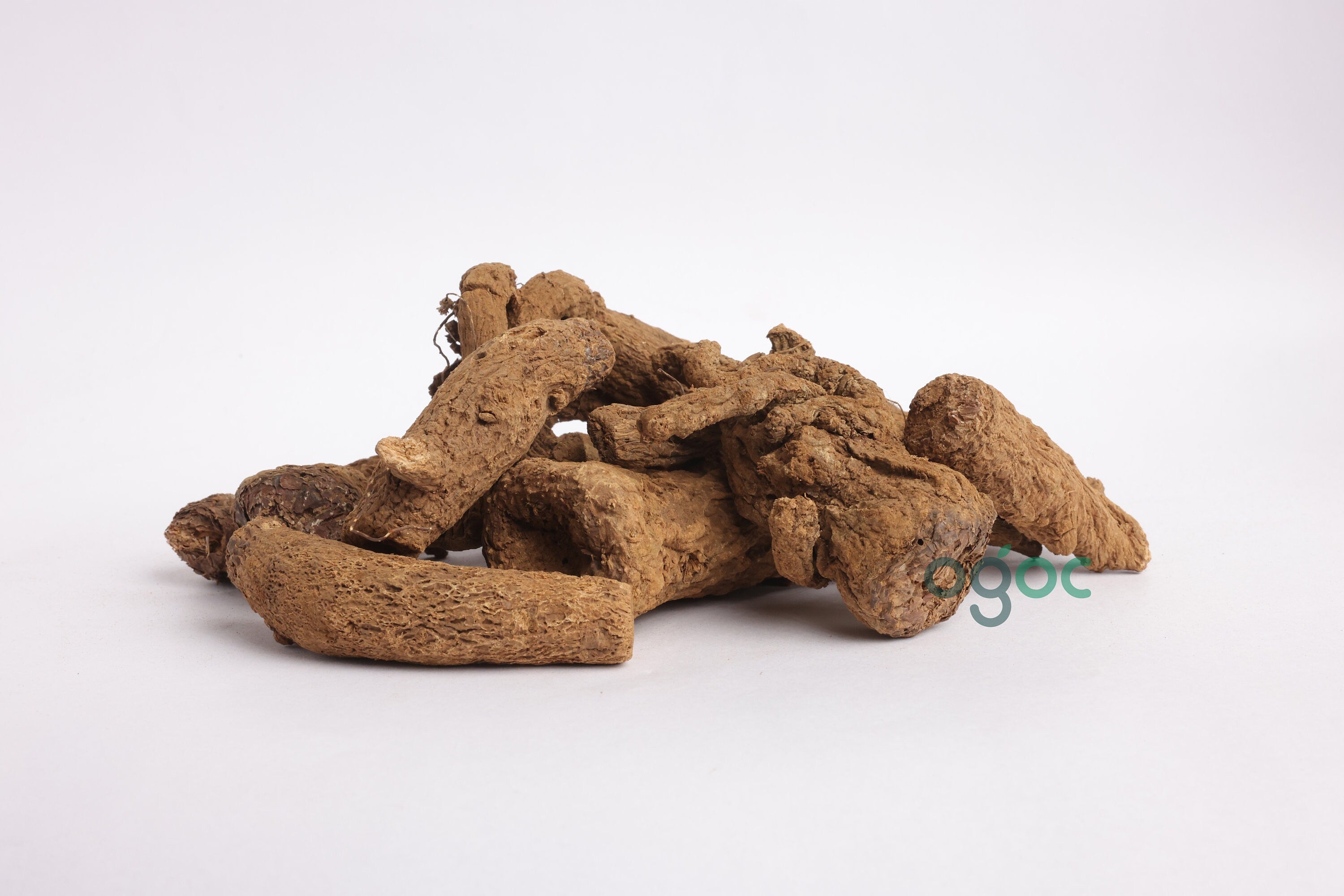 Dried Costus Root (Indian white Costus) | Koshtam,veluthakottam, Kuth,Ancient Herbal Tradition| OGOC