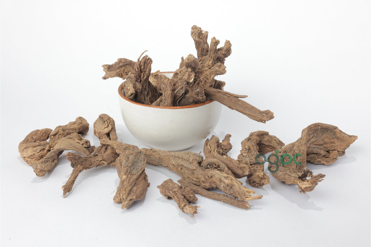 Dried Costus Root (Indian Costus) | Koshtam,Karuthakottam, Kuth,Ancient Herbal Tradition| OGOC