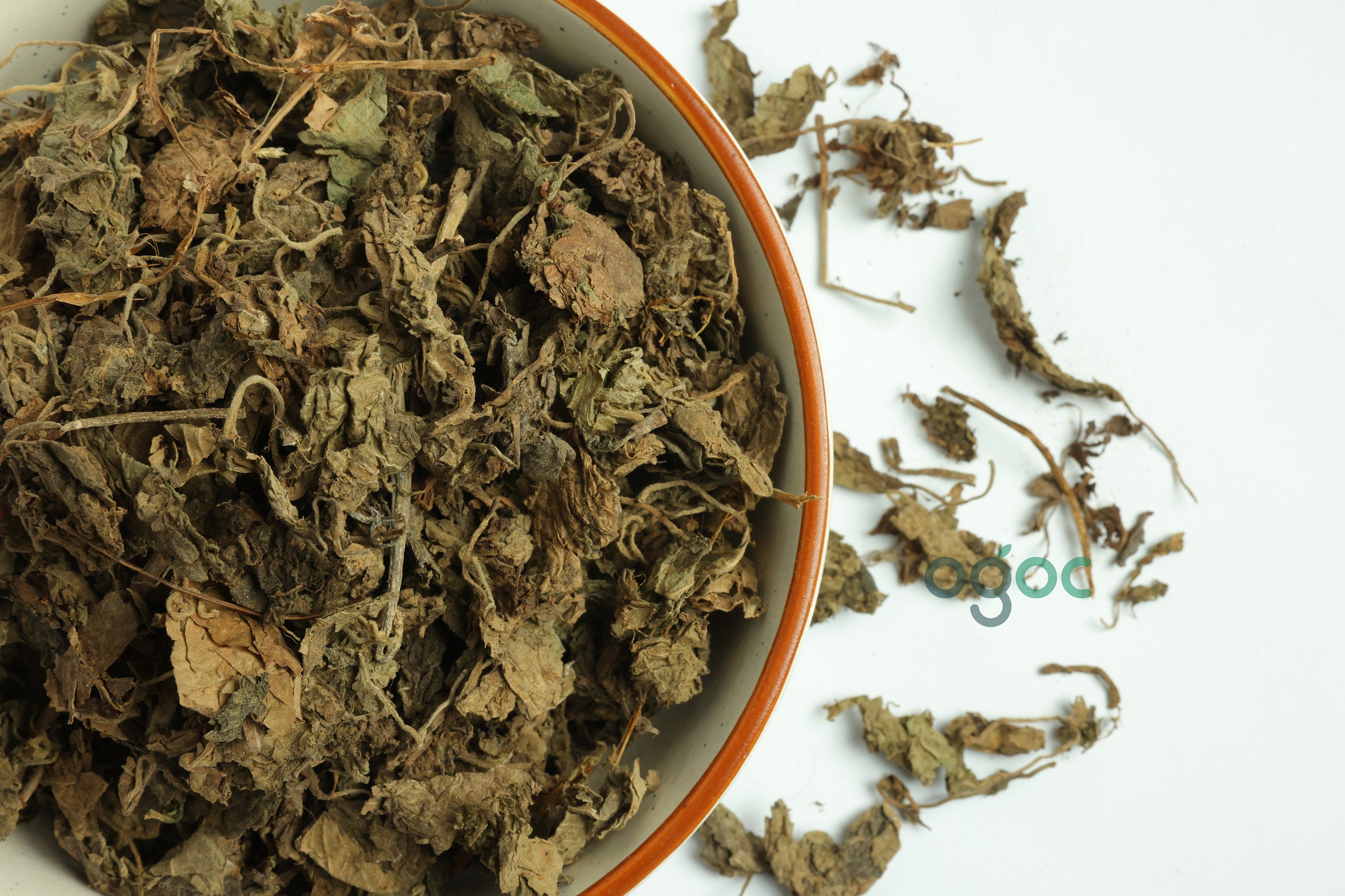 Pachila (Patchouli Leaves) - Pogostemon cablin, Aromatic Herb for Aromatherapy & Crafting"| OGOC